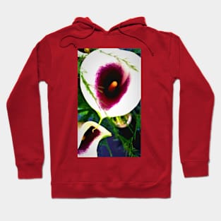 Calla ‘Picasso’ Lillies Hoodie